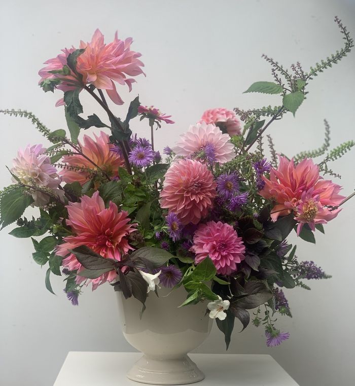 Pink dahlias and cosmos in a white footed vase