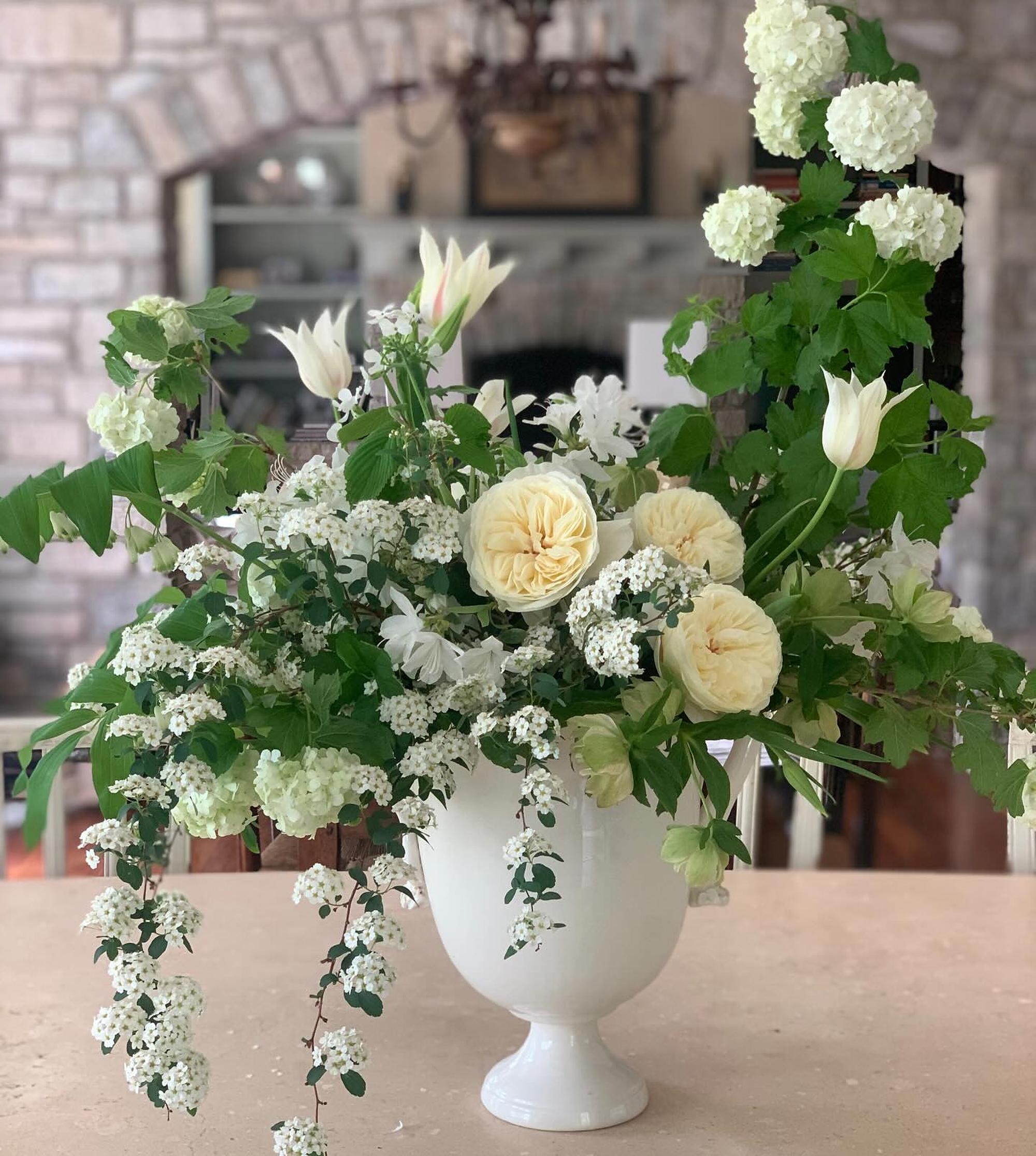 A large white and green arrangement of roses, spirea and tulips in a tall white urn