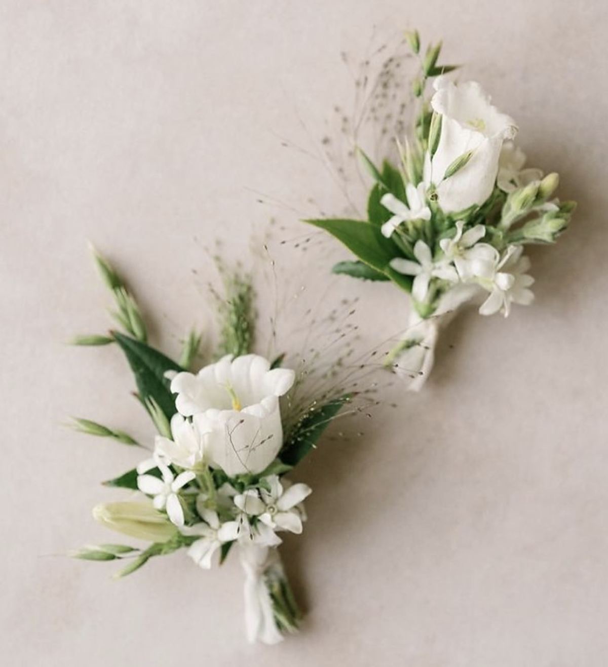 Two white boutonnieres of bellflowers, star jasmine and fine grasses tied with white silk